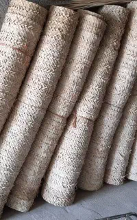 تک با پیش نخل سایز سه در یک ونیم