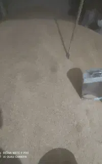 فروش جو خارجی درجه یک