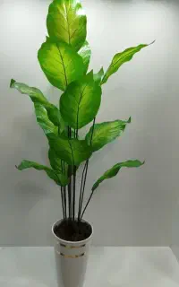 درختچه گل مصنوعی دیفن وارداتی