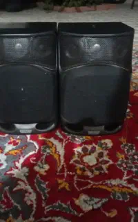 بلندگوی ضبط سالم