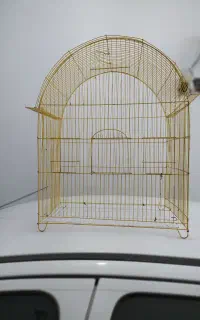 قفس پرنده زیبا بزرگ