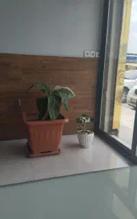 استخدام سرایدار دست به آچار