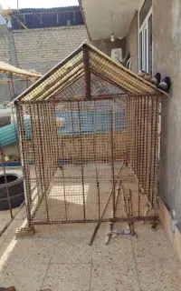 تور مرغ کفتر گوسفند
