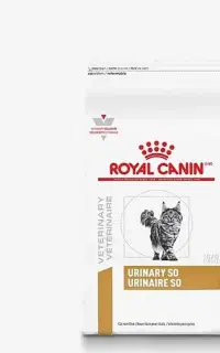 غذای خشک گربه رویال کنین یورینری اس اُ