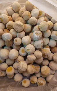 قروت گوسفندی