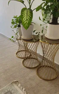 گل میز