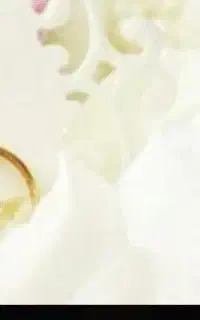 نیازمند به ضامن