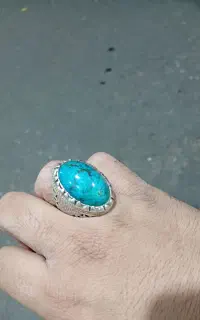 فیروزه نیشابوری تمام مغز