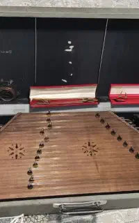 سنتور همراه هاردکیس و لوازم جانبی