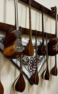 انواع تار و سه‌تار حرفه‌ای