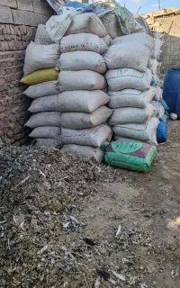 کود کبوتر کفتری خالص
