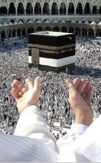 فیش حج تمتع ۸۶/۱۰