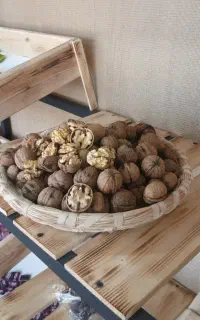 گردو سامان پوست کاغذی