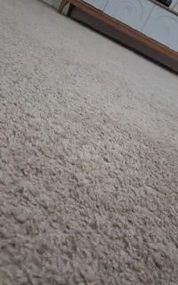 پالاز موکت