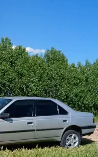 سرویس دربستی پژو ۴۰۵