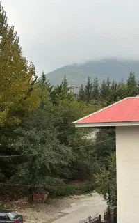 نیاز مند کارگر گچکار