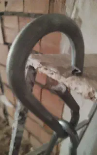 قلاب کاربین