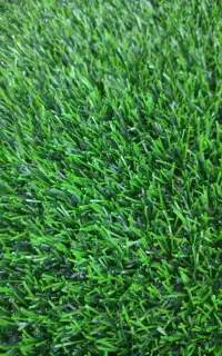 چمن مصنوعی/چمن