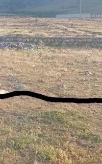 زمین دوبهر داریاب لاله چهارم کوچه عباس مالزیری