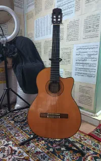 گیتار آریا Ak 80ce