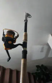 لنسر ماهیگیری