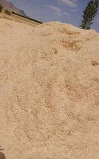 فروش کاه گندم