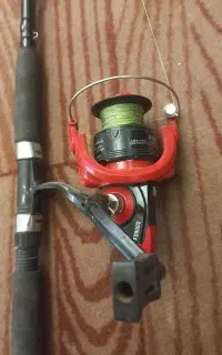 لنسرهای ماهیگیری