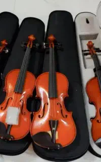 ویلن لوازم آبنوس حرفه ای