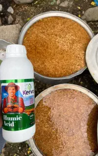 بذر مال گندم جو و کلزا طبیعی (۱ تن بار بیشتر)