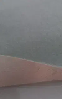 موکت