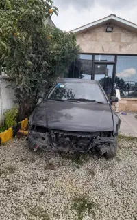 سمندمدل۸۱تصادفی