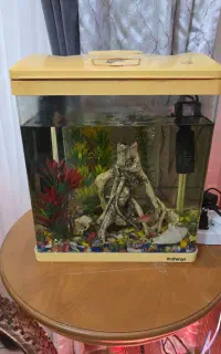 اکواریوم ماهیران