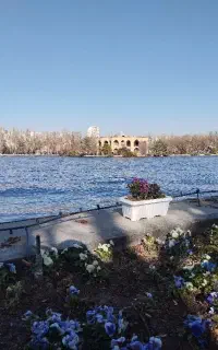 شرکت خدمات نظافتی ایلدا مبل شویی هم داریم فرش شویی