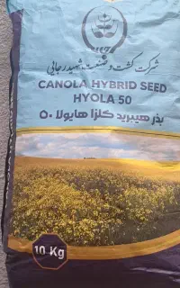 بذر کلزا هیولا ۵۰