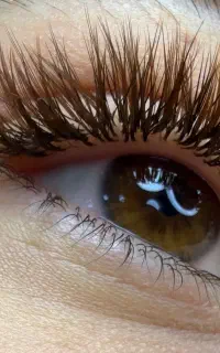 شروع ثبت نام کلاس های بهاری اکستنشن مژه