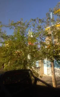 تبریز