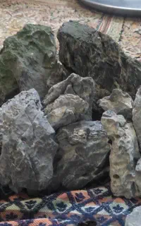 سنگ رایو آکواریوم