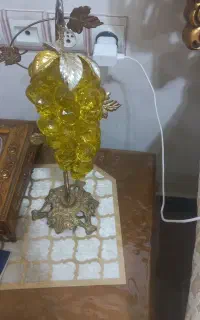انگور تزیینی