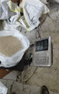 برنج محلی محصول خودم سورتینگ خورده