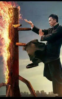 سبک وینگ چون ، سازمان جهانی EBMAS .