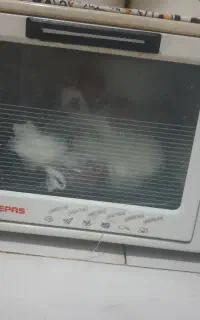 تستر دو المنت جوجه گردون