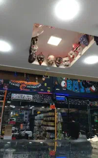 استخدام ادمین