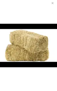 کاه برنج سرچینه
