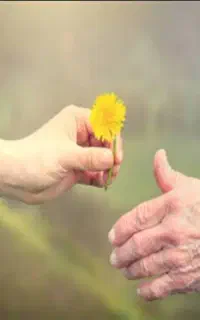 کارت هدیه مهربان ی ۱۸ م