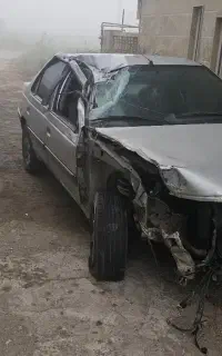 ۴۰۵ تصادفی مدل ۸۸