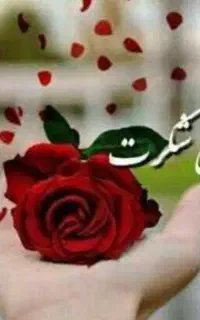 فروش خط ۰۹۱۲