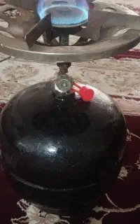 پیکنیک سالم