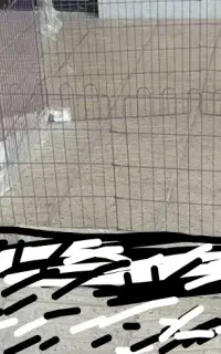 لونه پارک سگ
