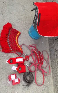 تعجیزات اسب همه با هم