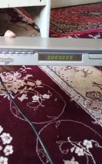 دی وی دی